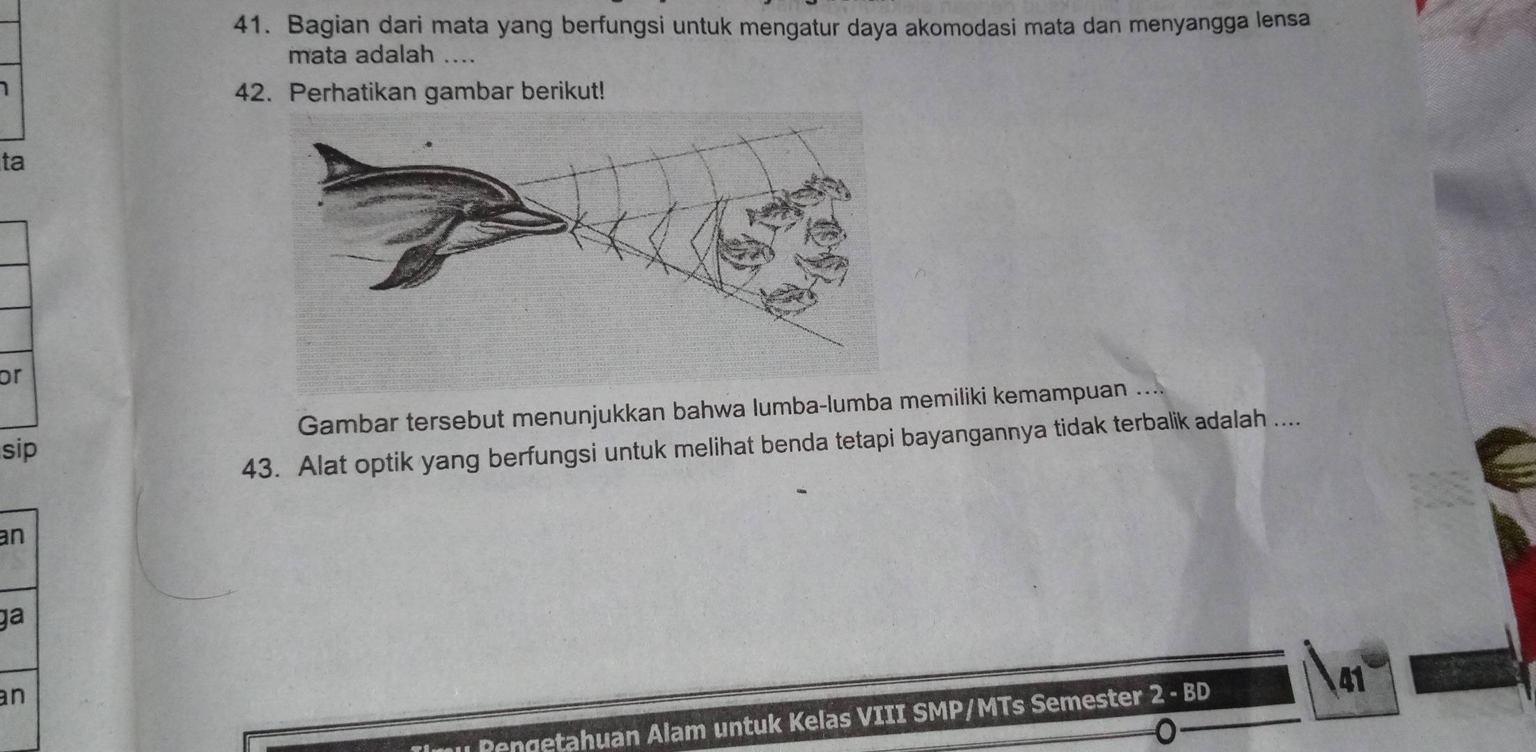 Bagian dari mata yang berfungsi untuk mengatur daya akomodasi mata dan menyangga lensa 
mata adalah .... 
1 
42. Perhatikan gambar berikut! 
ta 
or 
Gambar tersebut menunjukkan bahwa lumba-lumba memiliki kemampuan .... 
sip 
43. Alat optik yang berfungsi untuk melihat benda tetapi bayangannya tidak terbalik adalah .... 
an 
ga 
an 
41 
Ilmu Pengetahuan Alam untuk Kelas VIII SMP/MTs Semester 2-BD