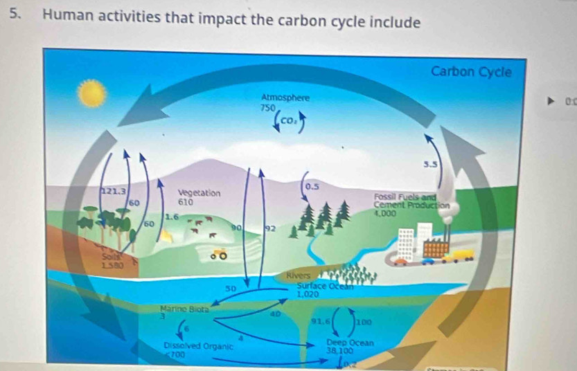 Human activities that impact the carbon cycle include
<700</tex>