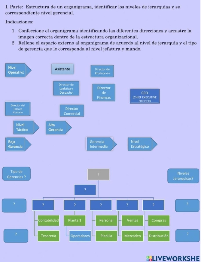 Parte: Estructura de un organigrama, identificar los niveles de jerarquías y su 
correspondiente nivel gerencial. 
Indicaciones: 
1. Confeccione el organigrama identificando las diferentes direcciones y arrastre la 
imagen correcta dentro de la estructura organizacional. 
2. Rellene el espacio externo al organigrama de acuerdo al nivel de jerarquía y el tipo 
de gerencia que le corresponda al nivel jefatura y mando. 
Nivel Asistente Director de 
Operativo Producción 
Director de 
Logística y Director 
Despacho de CEO 
Finanzas (CHIEF EXECUTIVE 
OFFICER1 
Director del 
Talento Director 
Humano Comercial 
Nivel Alta 
Táctico Gerencia 
Baja Gerencia Nivel 
Gerencia Intermedia Estratégico 
Tipo de Niveles 
？ 
Gerencias ? Jerárquicos? 
? 
？ ? ? ? ? ? ？ 
Contabilidad Planta 1 Personal Ventas Compras 
？ Tesorería Operadores Planilla Mercadeo Distribución ？ 
HLIVEWORKSHE