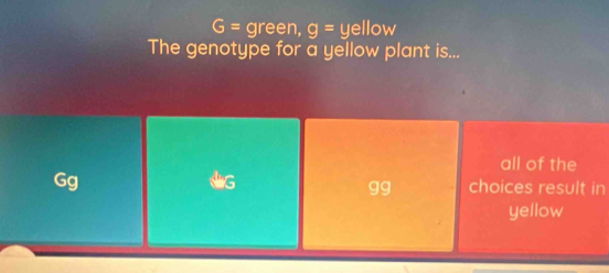 G= green, g= yellow
The genotype for a yellow plant is...
all of the
LG
Gg choices result in
gg
yellow