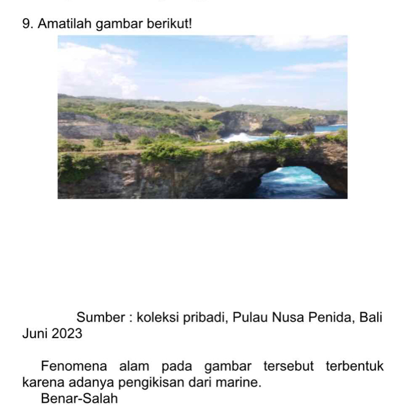 Amatilah gambar berikut! 
Sumber : koleksi pribadi, Pulau Nusa Penida, Bali 
Juni 2023 
Fenomena alam pada gambar tersebut terbentuk 
karena adanya pengikisan dari marine. 
Benar-Salah