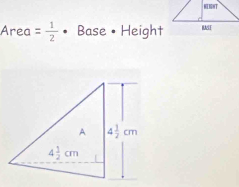 Area= 1/2  • Base • Height