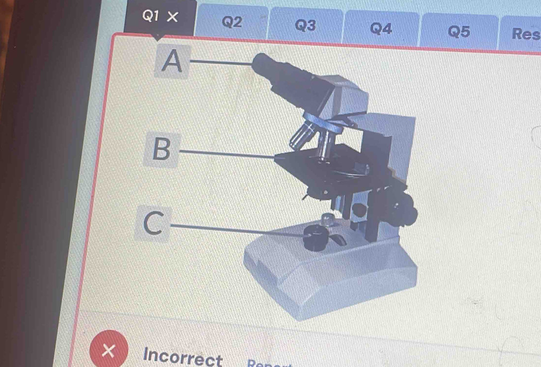 Q2 Q3 Q4 Q5 Res 
× Incorrect D