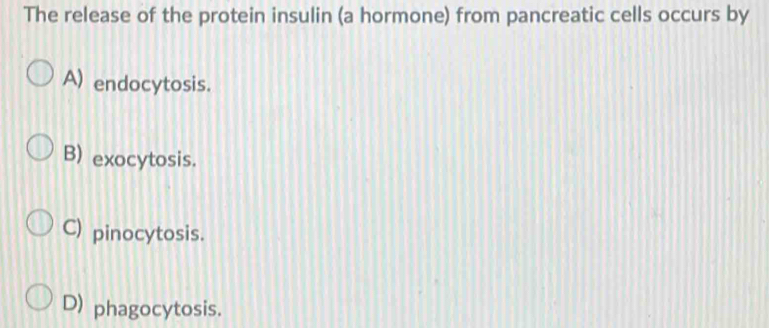 The release of the protein insulin (a hormone) from pancreatic cells occurs by
A) endocytosis.
B) exocytosis.
C) pinocytosis.
D) phagocytosis.