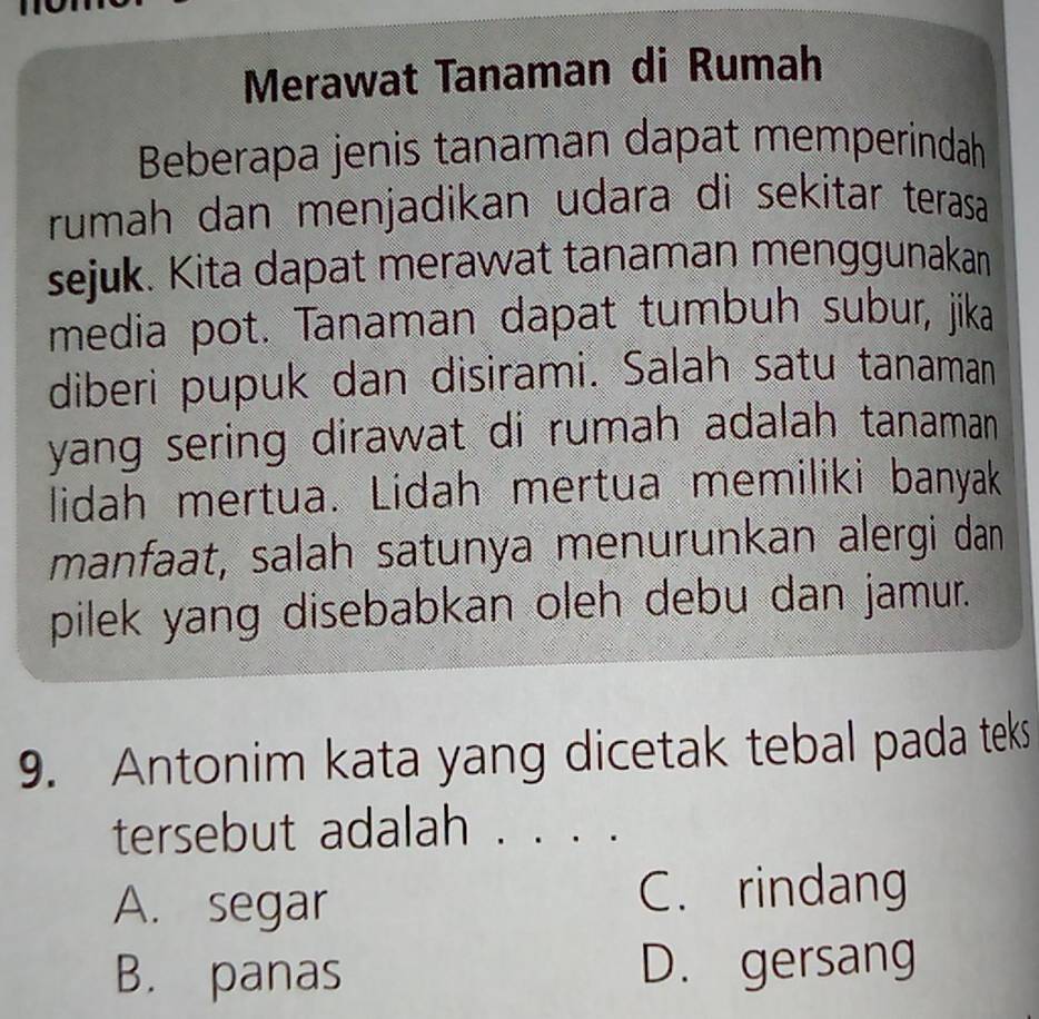 Merawat Tanaman di Rumah
Beberapa jenis tanaman dapat memperindah
rumah dan menjadikan udara di sekitar terasa
sejuk. Kita dapat merawat tanaman menggunakan
media pot. Tanaman dapat tumbuh subur, jika
diberi pupuk dan disirami. Salah satu tanaman
yang sering dirawat di rumah adalah tanaman 
lidah mertua. Lidah mertua memiliki banyak
manfaat, salah satunya menurunkan alergi dan
pilek yang disebabkan oleh debu dan jamur.
9. Antonim kata yang dicetak tebal pada teks
tersebut adalah . 、..
A. segar C. rindang
B. panas D. gersang