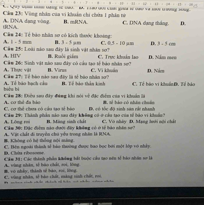 2 - 3  4 . 1 - 5 - ) · 6· ) - 7 - 1- 8 . :  - 9- ι - 10 -  | -11- - 12 · - 13 · - 14 · (-15 )  - 16
C. Quy đị nìm đạng lế bão. B. Trao doi chất giữa le bão và môi trưởng song.
Câu 23: Vùng nhân của vi khuẩn chỉ chứa 1 phân tử
A. DNA dạng vòng. B. mRNA. C. DNA dạng thắng. D.
tRNA.
Câu 24: Tế bào nhân sơ có kích thước khoảng:
A. 1 - 5 mm B. 3 - 5 µm C. 0,5 - 10 µm D. 3 - 5 cm
Câu 25: Loài nào sau đây là sinh vật nhân sơ?
A. HIV B. Ruồi giắm C. Trực khuẩn lao D. Nấm men
Câu 26: Sinh vật nào sau đây có cầu tạo tế bào nhân sơ?
A. Thực vật B. Virus C. Vi khuẩn D. Nấm
Câu 27: Tế bào nào sau đây là tế bảo nhân sơ?
A. Tế bào bạch cầu B. Tế bào thần kính C. Tể bảo vĩ khuầnD. Tế bảo
biểu bì
Câu 28: Điều sau đây đúng khi nói về đặc điểm của vi khuẩn là
A. cơ thể đa bảo B. tế bảo có nhân chuẩn
C. cơ thể chưa có cấu tạo tế bào D. có tốc độ sinh sản rất nhanh
Cầu 29: Thành phần nào sau đây không có ở cầu tạo của tế bảo ví khuẩn?
A. Lông roi B. Màng sinh chất C. Vỏ nhày D. Mạng lưới nội chất
Câu 30: Đặc điểm nào dưới đây không có ở tế bào nhân sơ?
A. Vật chất di truyền chủ yếu trong nhân là RNA.
B. Không có hệ thống nội màng.
C. Bên ngoài thành tế bảo thường được bao bọc bởi một lớp vỏ nhầy.
D. Chứa ribosome.
Cầu 31: Các thành phần không bắt buộc cấu tạo nên tế bảo nhân sơ là
A. vùng nhân, tế bảo chất, roi, lông.
B. vô nhầy, thành tế bào, roi, lông.
C. vùng nhãn, tế bảo chắt, màng sinh chất, roi.
D màng sinh nhất thành tổ hàn và nhậu tìng nhân