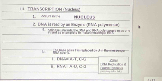 TRANSCRIPTION (Nucleus) 
1. occurs in the NUCLEUS 
2. DNA is read by an Enzyme (RNA polymerase) 
a helicase unwinds the DNA and RNA polymerase uses one 
strand as a template to make messenger RNA 
b. RNA strand The base pairs T is replaced by U in the messenger 
i. DNA=A-T, C-G Vipeq 
DNA Replication & 
ii. RNA=A-U, C-G Protein Synthesis 
(missing Video link) 
6 / 13