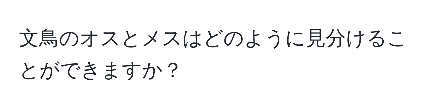 文鳥のオスとメスはどのように見分けることができますか？