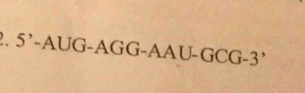 5^,-AUG-AGG-AAU-GCG-3^,