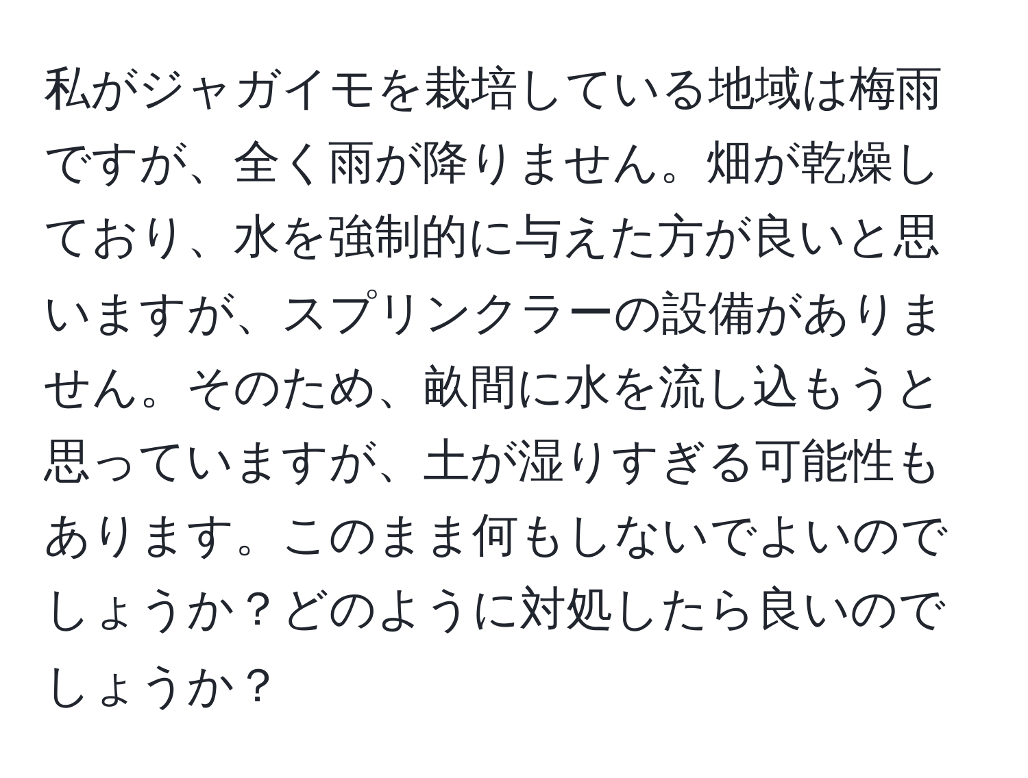 私がジャガイモを栽培している地域は梅雨ですが、全く雨が降りません。畑が乾燥しており、水を強制的に与えた方が良いと思いますが、スプリンクラーの設備がありません。そのため、畝間に水を流し込もうと思っていますが、土が湿りすぎる可能性もあります。このまま何もしないでよいのでしょうか？どのように対処したら良いのでしょうか？