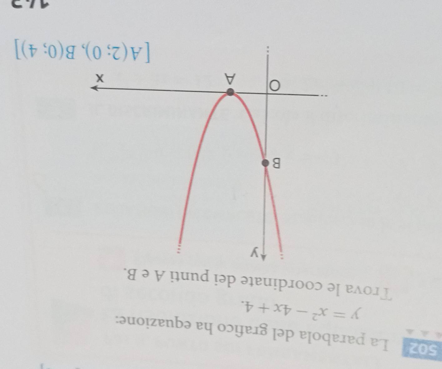 502 La parabola del grafico ha equazione:
y=x^2-4x+4.
Trova le coordinate dei punti A e B.