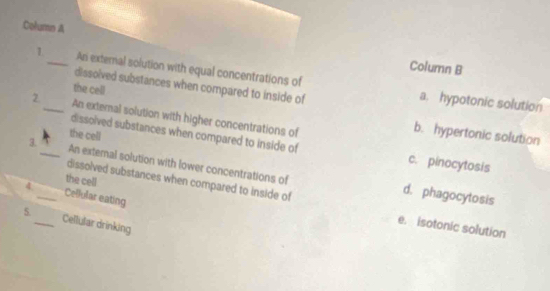 Column A
Column B
1_ An external solution with equal concentrations of
dissolved substances when compared to inside of
a. hypotonic solution
2_ An external solution with higher concentrations of
the cell b. hypertonic solution
dissolved substances when compared to inside of
the cell c. pinocytosis
3._ An external solution with lower concentrations of
dissolved substances when compared to inside of
4 _Cellular eating
d. phagocytosis
the cell e. isotonic solution
5._ Cellular drinking