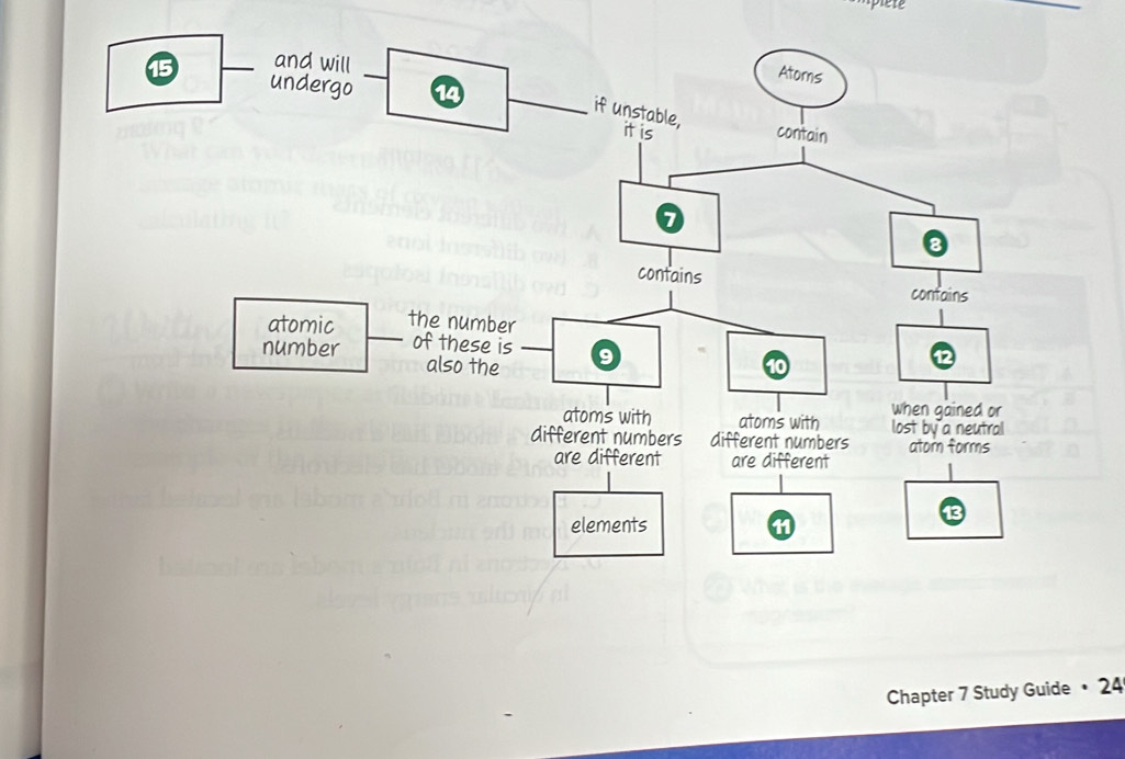 Chapter 7 Study Guide • 24