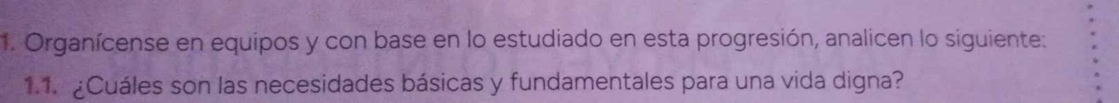 Organícense en equipos y con base en lo estudiado en esta progresión, analicen lo siguiente: 
1.1. ¿Cuáles son las necesidades básicas y fundamentales para una vida digna?