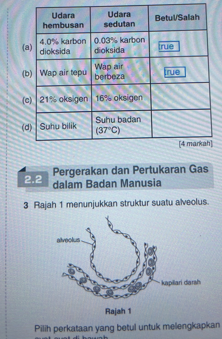 (
(
(
(
Pergerakan dan Pertukaran Gas
2.2 dalam Badan Manusia
3 Rajah 1 menunjukkan struktur suatu alveolus.
Pilih perkataan yang betul untuk melengkapkan