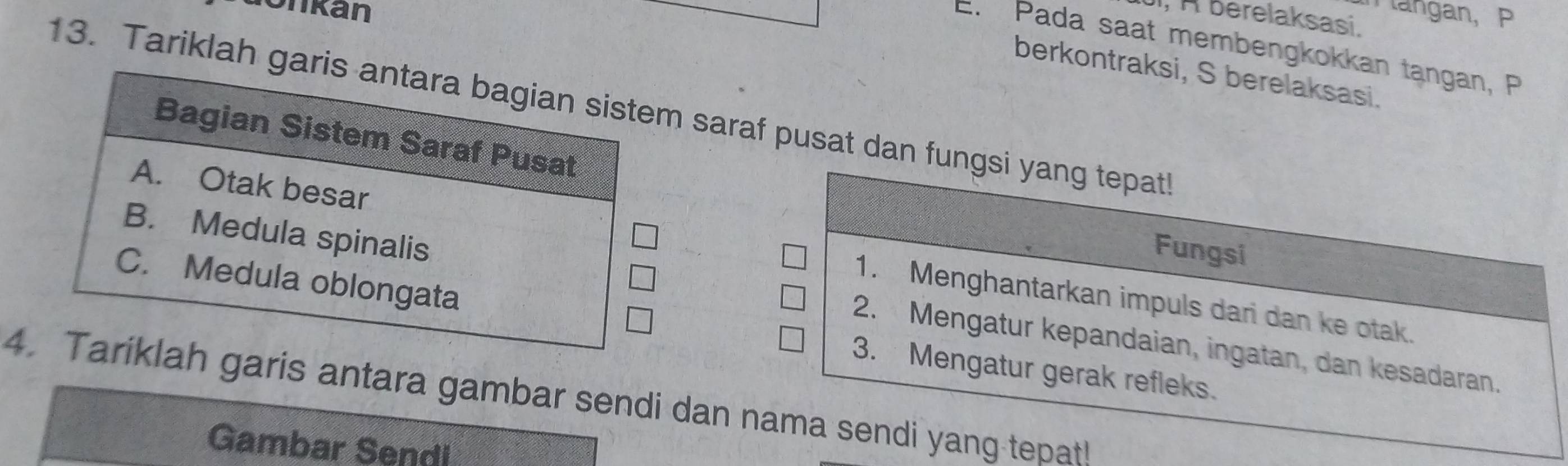 donkan M angan, P
, A berelaksasi.
E. Pada saat membengkokkan tangan, P
berkontraksi, S berelaksasi.
13. Tariklah ga saraf pusat dan fungsi yang tepat
Fungsi
1. Menghantarkan impuls dari dan ke otak.
2. Mengatur kepandaian, ingatan, dan kesadaran.
3. Mengatur gerak refleks.
4is antara gambar sendi dan nama sendi yang tepat!
Gambar Sendi