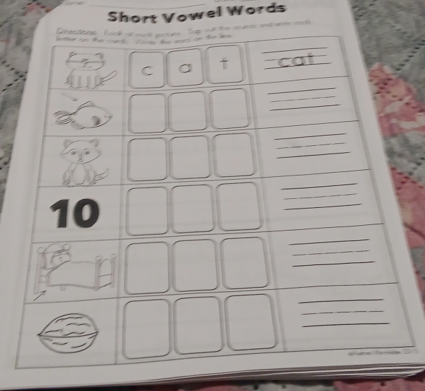 Short Vowel Words