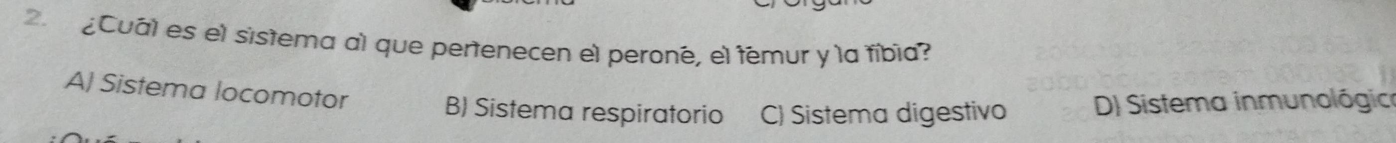 Cual es el sistema al que pertenecen el peroné, el témur y la fíbia?
A) Sistema locomotor
B) Sistema respiratorio C) Sistema digestivo D) Sistema inmunológica