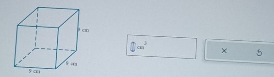 □  
11 cm^3
×