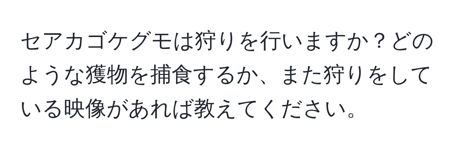 セアカゴケグモは狩りを行いますか？どのような獲物を捕食するか、また狩りをしている映像があれば教えてください。