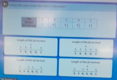 which like plet shows the dato in the table ?
Lengih of fish (in inches) Length of Fish (in inches)
Lengih of fish (in inches) Length of fish (in inches)