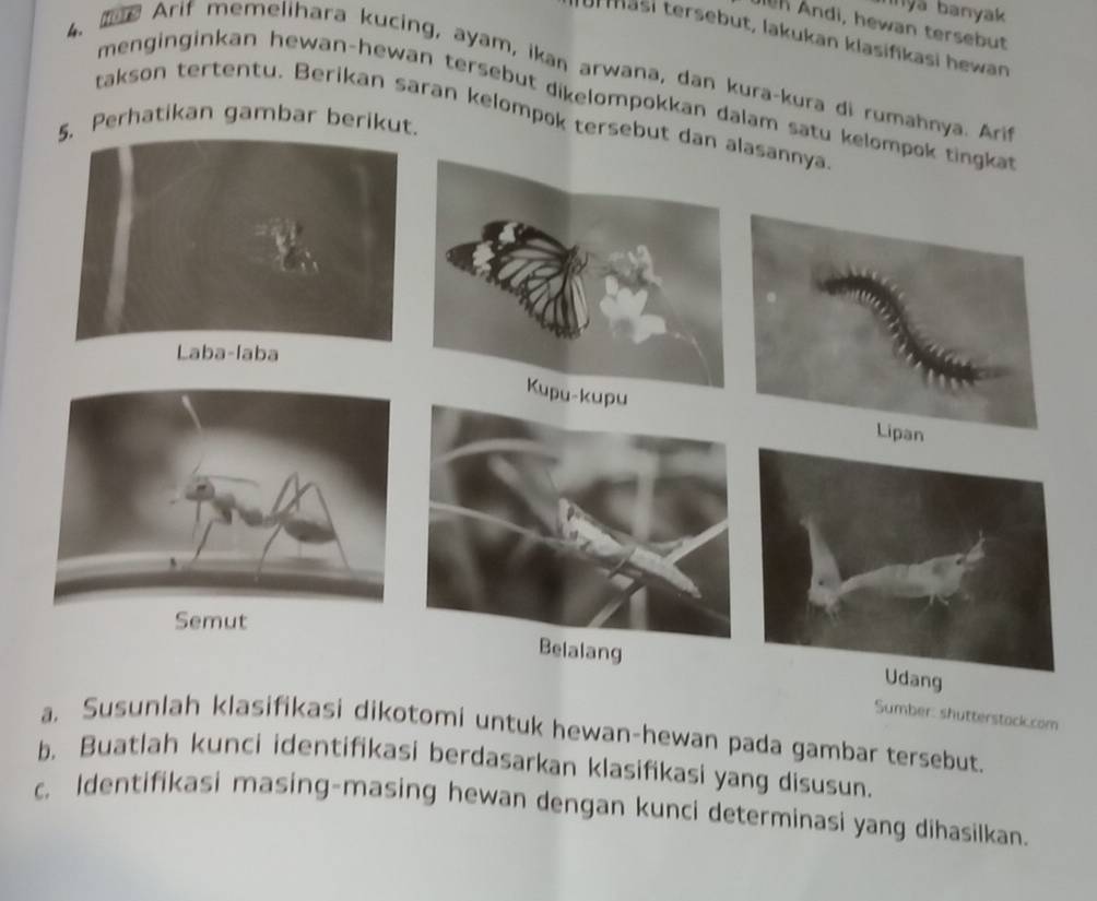 Inyā banyak 
uen Andi, hewan tersebut 
ur masi tersebut, lakukan klasifikasi hewan 
4. te Arif memelihara kucing, ayam, ikan arwana, dan kura-kura di rumahnya. Ari 
menginginkan hewan-hewan tersebut dikelompokkan dalam satu kelompok tingkat 
takson tertentu. Berikan saran kelompok tersebut dan alasannya 
Perhatikan gambar berikut. 
Kupu-k 
Lipan 
Semut 
lalang ang 
Sumber: shutterstack.com 
a. Susunlah klasifikasi dikotomi untuk hewan-hewan pada gambar tersebut. 
b. Buatlah kunci identifikasi berdasarkan klasifikasi yang disusun. 
c. Identifikasi masing-masing hewan dengan kunci determinasi yang dihasilkan.