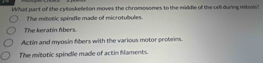 Mumplé Chôice
What part of the cytoskeleton moves the chromosomes to the middle of the cell during mitosis?
The mitotic spindle made of microtubules.
The keratin fibers.
Actin and myosin fibers with the various motor proteins.
The mitotic spindle made of actin flaments.