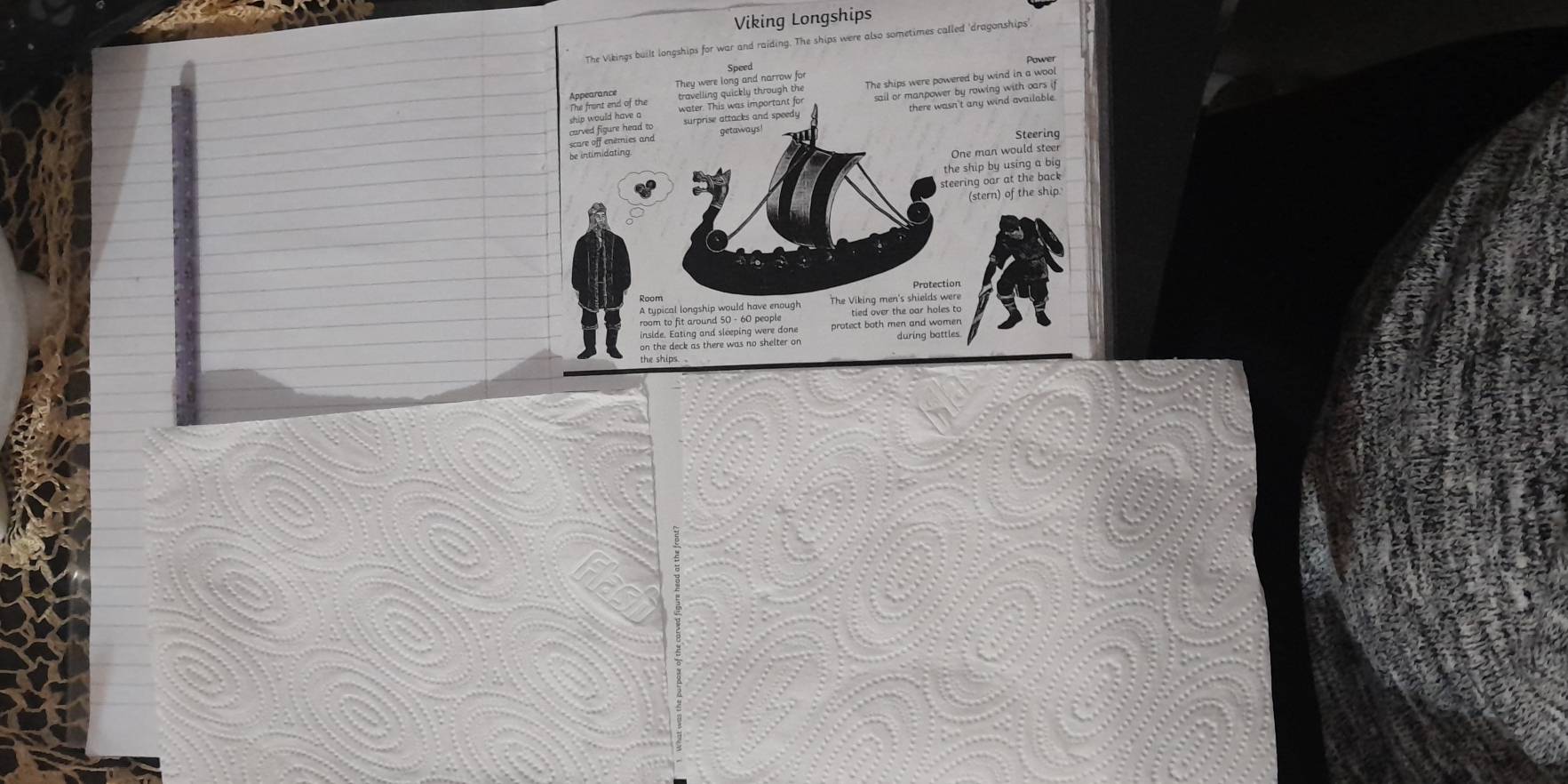 Viking Longships