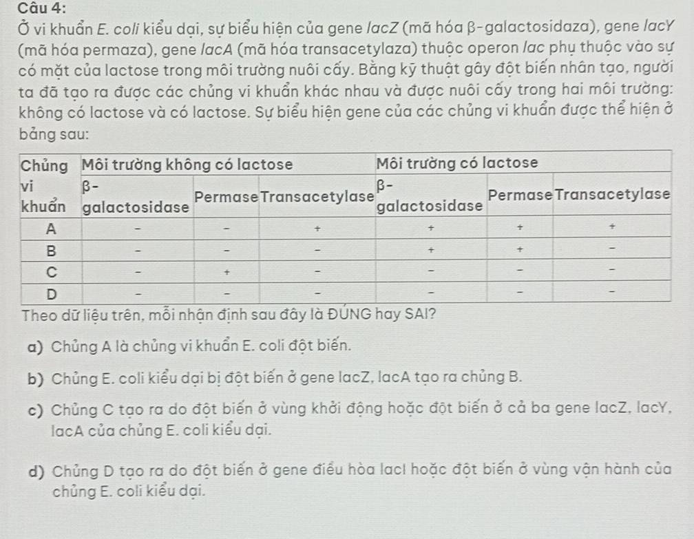 Ở vi khuẩn E. coli kiểu dại, sự biểu hiện của gene /acZ (mã hóa β -galactosidaza), gene /acY
(mã hóa permaza), gene lacA (mã hóa transacetylaza) thuộc operon lac phụ thuộc vào sự
có mặt của lactose trong môi trường nuôi cấy. Bằng kỹ thuật gây đột biến nhân tạo, người
ta đã tạo ra được các chủng vi khuẩn khác nhau và được nuôi cấy trong hai môi trường:
không có lactose và có lactose. Sự biểu hiện gene của các chủng vi khuẩn được thể hiện ở
bảng sau:
Theo dữ liệu trên, mỗi nhận định sau đây là ĐUNG hay SAI?
a) Chủng A là chủng vi khuẩn E. coli đột biến.
b) Chủng E. coli kiểu dại bị đột biến ở gene lacZ, lacA tạo ra chủng B.
c) Chủng C tạo ra do đột biến ở vùng khởi động hoặc đột biến ở cả ba gene lacZ, lacY,
lacA của chủng E. coli kiểu dại.
d) Chủng D tạo ra do đột biến ở gene điều hòa lacI hoặc đột biến ở vùng vận hành của
chủng E. coli kiểu dại.