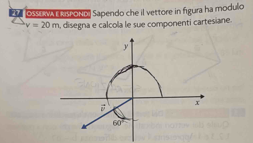 OSSERVA E RISPONDI Sapendo che il vettore in figura ha modulo
v=20m , disegna e calcola le sue componenti cartesiane.