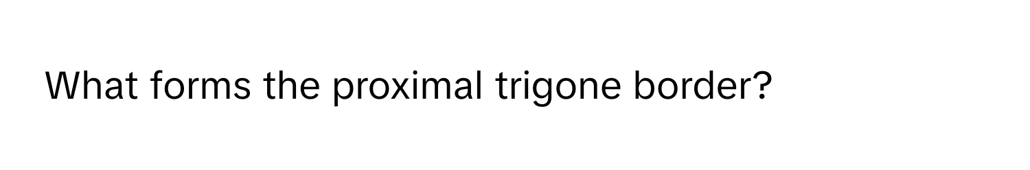 What forms the proximal trigone border?