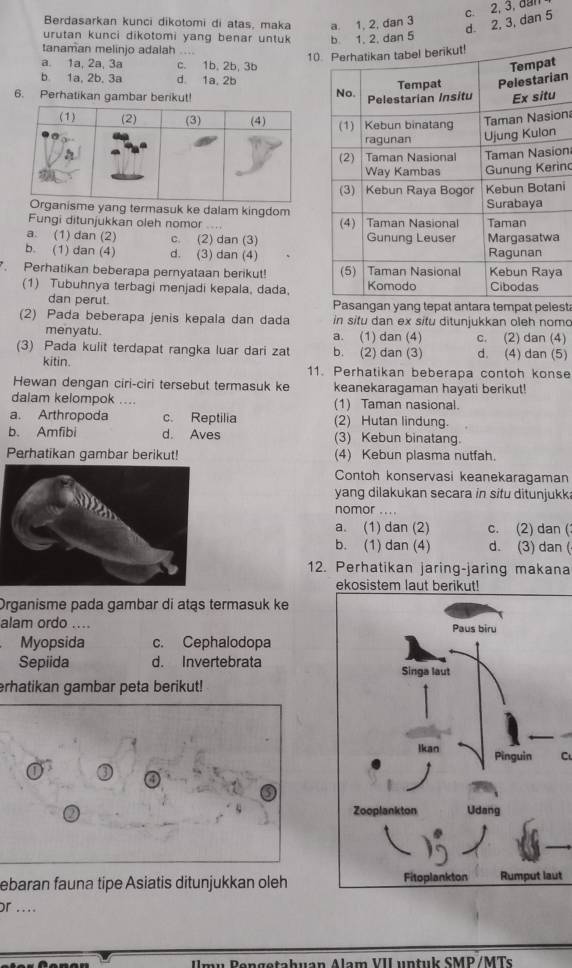 d. 2, 3, dan 5 c. 2, 3, đan
Berdasarkan kunci dikotomi di atas, maka a. 1, 2, dan 3
urutan kunci dikotomi yang benar untuk 
tanaman melinjo adalah …
10
a. 1a, 2a, 3a c. 1b, 2b, 3b
b 1a, 2b, 3a d. 1a, 2b
an
6. Perhatikan gambar berikut! 
ona
on
inc
sme yang termasuk ke dalam kingdomni
Fungi ditunjukkan oleh nomor ....
a. (1) dan (2) c. (2) dan (3) a
b. (1) dan (4) d. (3) dan (4)
. Perhatikan beberapa pernyataan berikut! a
(1) Tubuhnya terbagi menjadi kepala, dada,
dan perut. Pasangan yang tepat antara tempat pelest
(2) Pada beberapa jenis kepala dan dada in situ dan ex situ ditunjukkan oleh nomo
menyatu. a. (1) dan (4) c. (2) dan (4)
(3) Pada kulit terdapat rangka luar dari zat b. (2) dan (3) d. (4) dan (5)
kitin. 11. Perhatikan beberapa contoh konse
Hewan dengan ciri-ciri tersebut termasuk ke keanekaragaman hayati berikut!
dalam kelompok .- (1) Taman nasional.
a. Arthropoda c. Reptilia (2) Hutan lindung.
b. Amfibi d. Aves (3) Kebun binatang.
Perhatikan gambar berikut! (4) Kebun plasma nutfah.
Contoh konservasi keanekaragaman
yang dilakukan secara in situ ditunjukk.
nomor ....
a. (1) dan (2) c. (2) dan (
b. (1) dan (4) d. (3) dan (
12. Perhatikan jaring-jaring makana
ekosistem laut berikut!
Organisme pada gambar di atąs termasuk ke
alam ordo ....
Myopsida c. Cephalodopa
Sepiida d. Invertebrata
erhatikan gambar peta berikut!
C
a 
ebaran fauna tipe Asiatis ditunjukkan olehut
or ....
mụ Pengetahuan Alam VIL untuk SMP /MTs