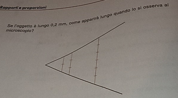 Rapporti e proporzioni 
Se l'oggetto é lungo 0,2 mm, come apparirà lungo quando lo si osserva al 
microscopio?