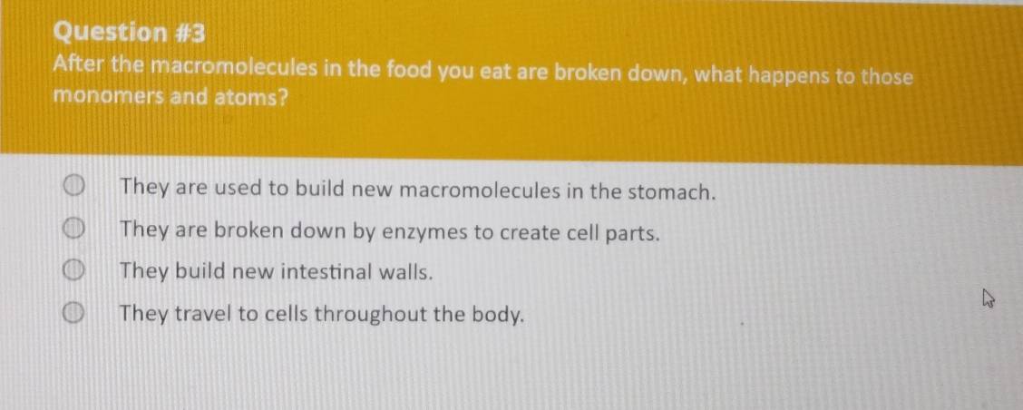 After the macromolecules in the food you eat are broken down, what happens to those
monomers and atoms?
They are used to build new macromolecules in the stomach.
They are broken down by enzymes to create cell parts.
They build new intestinal walls.
They travel to cells throughout the body.