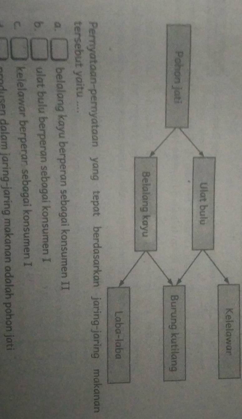 Kelelawar
Ulat bulu
Pohon jati
Burung kutilang
Belalang kayu
Laba-laba
Pernyataan-pernyataan yang tepat berdasarkan jaring-jaring makanan
tersebut yaitu ....
a.
belalang kayu berperan sebagai konsumen II
b. ulat bulu berperan sebagai konsumen I
C.
kelelawar berperan sebagai konsumen I
pra dusen dalam jaring-jaring makanan adalah pohon jati