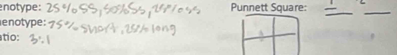 notype: Punnett Square: 
enotype: 
atío: