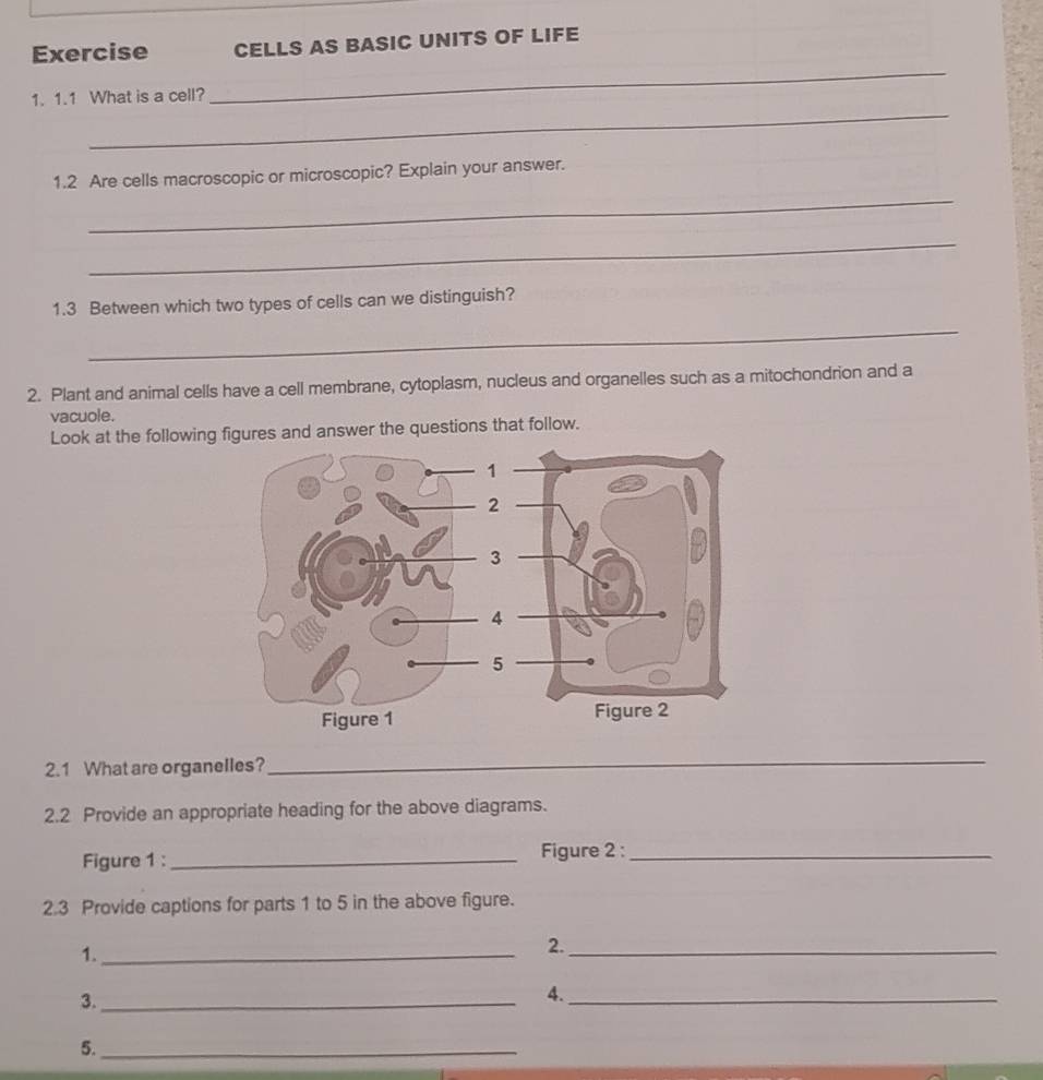 Gelöst:Exercise CELLS AS BASIC UNITS OF LIFE _ _ 1. 1.1 What is a cell ...