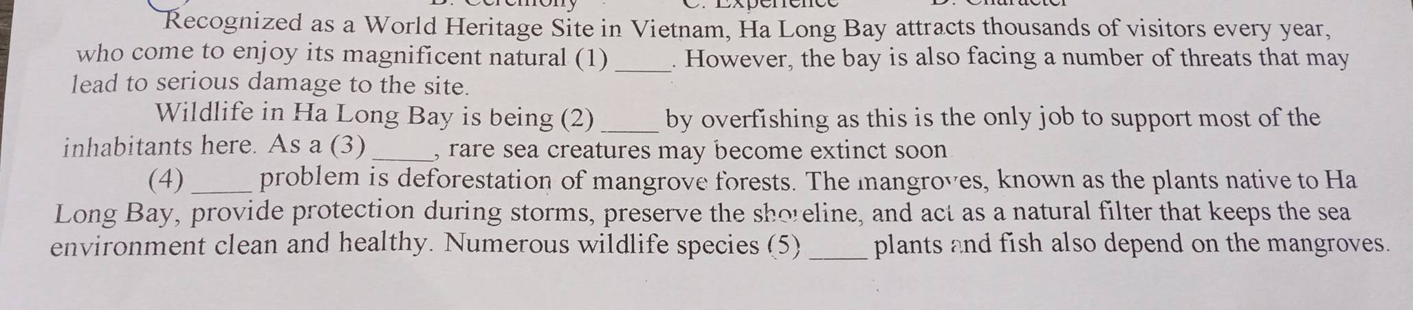 Recognized as a World Heritage Site in Vietnam, Ha Long Bay attracts thousands of visitors every year, 
who come to enjoy its magnificent natural (1) _. However, the bay is also facing a number of threats that may 
lead to serious damage to the site. 
Wildlife in Ha Long Bay is being (2) _by overfishing as this is the only job to support most of the 
inhabitants here. As a (3) _, rare sea creatures may become extinct soon 
(4) _problem is deforestation of mangrove forests. The mangroves, known as the plants native to Ha 
Long Bay, provide protection during storms, preserve the shoreline, and act as a natural filter that keeps the sea 
environment clean and healthy. Numerous wildlife species (5) _plants and fish also depend on the mangroves.