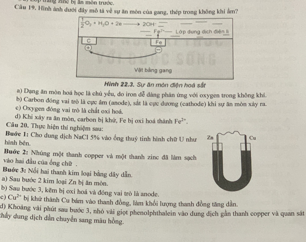 trang  n c bị ăn mòn trước.
Câu 19, Hình ảnh dưới đây mô tả về sự ăn mòn của gang, thép trong không khí ẩm?
Hình 22.3. Sự ăn mòn điện hoá sắt
a) Dạng ăn mòn hoá học là chủ yếu, do iron dễ dàng phản ứng với oxygen trong không khí.
b) Carbon đóng vai trò là cực âm (anode), sắt là cực dương (cathode) khi sự ăn mòn xảy ra.
c) Oxygen đóng vai trò là chất oxi hoá.
d) Khi xảy ra ăn mòn, carbon bị khử, Fe bị oxi hoá thành Fe^(2+).
Câu 20. Thực hiện thí nghiệm sau:
Buớc 1: Cho dung dịch NaCl 5% vào ống thuỷ tinh hình chữ U như 
hình bên.
Buớc 2: Nhúng một thanh copper và một thanh zinc đã làm sạch
vào hai đầu của ống chữ .
Buớc 3: Nối hai thanh kim loại bằng dây dẫn.
a) Sau bước 2 kim loại Zn bị ăn mòn.
b) Sau bước 3, kẽm bị oxi hoá và đóng vai trò là anode.
c) Cu^(2+) bị khử thành Cu bám vào thanh đồng, làm khối lượng thanh đồng tăng dần.
d) Khoảng vài phút sau bước 3, nhỏ vài giọt phenolphthalein vào dung dịch gần thanh copper và quan sát
thấy dung dịch dần chuyền sang màu hồng.