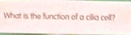 What is the function of a cillia cell?