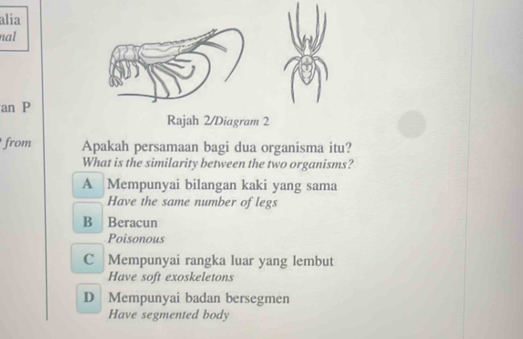 alia
nal
an P
Rajah 2/Diagram 2
from Apakah persamaan bagi dua organisma itu?
What is the similarity between the two organisms?
A Mempunyai bilangan kaki yang sama
Have the same number of legs
B Beracun
Poisonous
C Mempunyai rangka luar yang lembut
Have soft exoskeletons
D Mempunyai badan bersegmen
Have segmented body