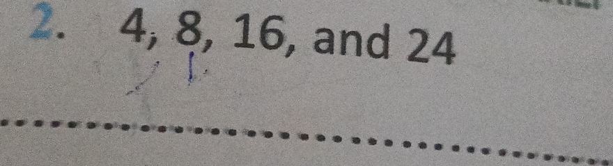 4, 8, 16, and 24