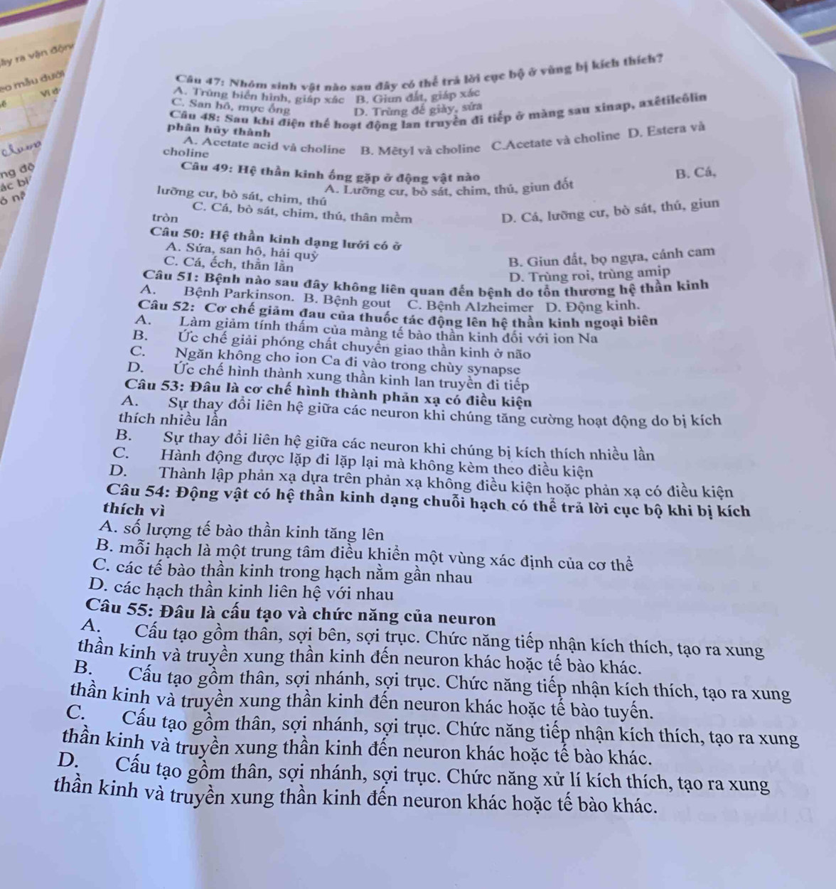 ly ra vận động
c0 mẫu đưới
Cầâu 47: Nhóm sinh vật nào sau đây có thể trá lời cục bộ ở vùng bị kích thích?
Vi d
A. Trũng biển hình, giáp xác B. Giun đất, giáp xác
6
C. San hô, mực ống D. Trùng đế giảy, sứa
Cầu 48: Sau khi điện thể hoạt động lan truyền đi tiếp ở màng sau xinap, axéti|côlin
phân hủy thành
chue
A. Acetate acid và choline B. Mêtyl và choline C.Acetate và choline D. Estera và
choline
ng độ
Câu 49: Hệ thần kinh ống gặp ở động vật nào
ác bì
ó n A. Lường cư, bò sát, chim, thủ, giun đốt B. Cá,
lưỡng cư, bò sát, chim, thú
C. Cá, bò sát, chim, thú, thân mềm D. Cá, lưỡng cư, bò sát, thú, giun
tròn
Câu 50: Hệ thần kinh dạng lưới có ở
A. Sứa, san hô, hải quỳ
C. Cá, ếch, thằn lằn
B. Giun đất, bọ ngựa, cánh cam
D. Trùng roi, trùng amip
Câu 51: Bệnh nào sau đây không liên quan đến bệnh do tổn thương hệ thần kinh
A. Bệnh Parkinson. B. Bệnh gout C. Bệnh Alzheimer D. Động kinh.
Câu 52: Cơ chế giảm đau của thuốc tác động lên hệ thần kinh ngoại biên
A. Làm giảm tính thấm của màng tế bào thân kinh dối với ion Na
B. Ức chế giải phóng chất chuyển giao thần kinh ở não
C. Ngăn không cho ion Ca đi vào trong chùy synapse
D. Ức chế hình thành xung thần kinh lan truyền đi tiếp
Câu 53: Đâu là cơ chế hình thành phản xạ có điều kiện
A. Sự thay đổi liên hệ giữa các neuron khi chúng tăng cường hoạt động do bị kích
thích nhiều lần
B. Sự thay đổi liên hệ giữa các neuron khi chúng bị kích thích nhiều lần
C. Hành động được lặp đi lặp lại mà không kèm theo điều kiện
D. Thành lập phản xạ dựa trên phản xạ không điều kiện hoặc phản xạ có điều kiện
Câu 54: Động vật có hệ thần kinh dạng chuỗi hạch có thể trả lời cục bộ khi bị kích
thích vì
A. số lượng tế bào thần kinh tăng lên
B. mỗi hạch là một trung tâm điều khiển một vùng xác định của cơ thể
C. các tế bào thần kinh trong hạch nằm gần nhau
D. các hạch thần kinh liên hệ với nhau
Câu 55: Đâu là cấu tạo và chức năng của neuron
A. Cấu tạo gồm thân, sợi bên, sợi trục. Chức năng tiếp nhận kích thích, tạo ra xung
thần kinh và truyền xung thần kinh đến neuron khác hoặc tế bào khác.
B. Cấu tạo gồm thân, sợi nhánh, sợi trục. Chức năng tiếp nhận kích thích, tạo ra xung
thần kinh và truyền xung thần kinh đến neuron khác hoặc tế bào tuyến,
C. Cấu tạo gồm thân, sợi nhánh, sợi trục. Chức năng tiếp nhận kích thích, tạo ra xung
thần kinh và truyền xung thần kinh đến neuron khác hoặc tế bào khác.
D. Cấu tạo gồm thân, sợi nhánh, sợi trục. Chức năng xử lí kích thích, tạo ra xung
thần kinh và truyền xung thần kinh đến neuron khác hoặc tế bào khác.