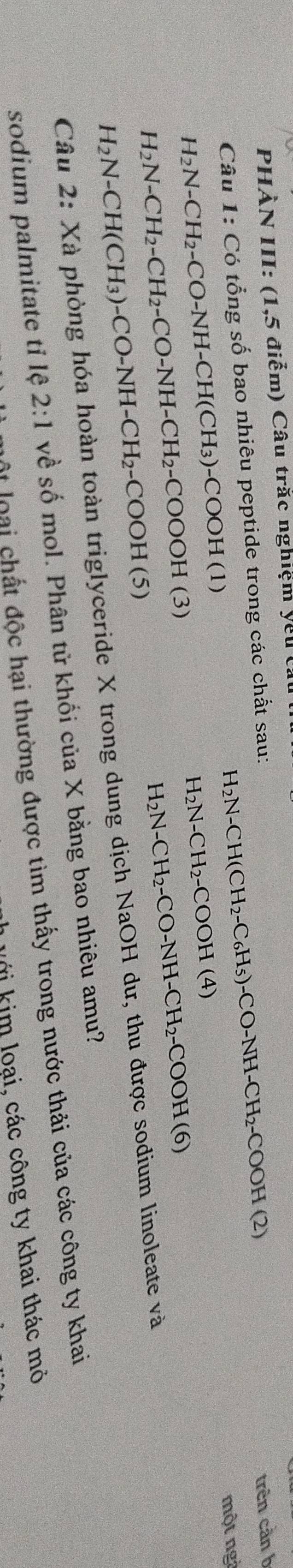 PHÀN III: (1,5 điễm) Câu trắc nghiệm yêu 
Câu 1: Có tổng số bao nhiêu peptide trong các chất sau:
H_2N-CH(CH_2-C_6H_5)-CO-NH-CH_2-COOH(2)
trên cản b
H_2N-CH_2-CO-NH-CH(CH_3)-COOH(1) một ng
H_2N-CH_2-COOH(4)
H_2N-CH_2-CH_2-CO-NH-CH_2-COOOH(3)
H_2N-CH_2-CO-NH-CH_2-COOH(6)
H_2N-CH(CH_3)-CO-NH-CH_2-COOH(5)
Câu 2:X là phòng hóa hoàn toàn triglyceride X trong dung dịch NaOH dư, thu được sodium linoleate và 
sodium palmitate tỉ lệ 2:1 về số mol. Phân tử khối của X bằng bao nhiêu amu? 
loại chất độc hại thường được tìm thấy trong nước thải của các công ty khai 
V ới kim loại, các công ty khai thác mỏ