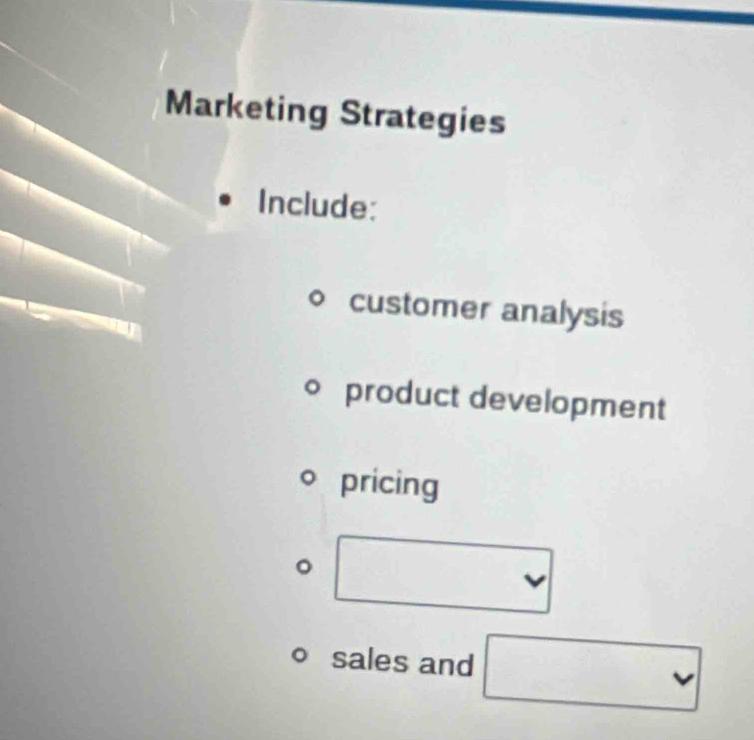 Marketing Strategies 
Include: 
customer analysis 
product development 
pricing 
sales and