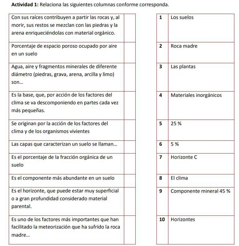 Actividad 1: Relaciona las siguientes columnas conforme corresponda. 
s 
s 
% 
p 
madre...