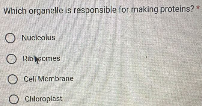 Which organelle is responsible for making proteins? *
Nucleolus
Ribesomes
Cell Membrane
Chloroplast