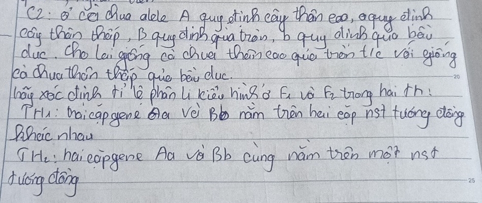 ) 
(2: B cei Chuo alete A guy otinh eay then eao, equy dline 
cay thin thap, B qug dinh qua tràn, bqug dinBquo bāi 
duc. Cho lai gióng co chuei them eao quo thàn tiè véi giòng 
cà chua thàn thep guo bài duc. 
hag xoc dine tilè phān Li kièo hngà fi vò fi trong hai th. 
THu: moicapgene Qa Vè Bb nám tren hei eop nst tuóng doing 
Wheic nhan 
THe haieopgene Aa vè Bb cung nám thán mor nst 
A uáng dōng