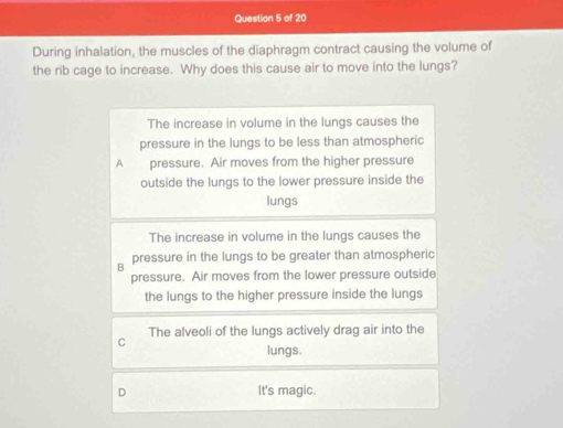 During inhalation, the muscles of the diaphragm contract causing the volume of
the rib cage to increase. Why does this cause air to move into the lungs?
The increase in volume in the lungs causes the
pressure in the lungs to be less than atmospheric
A pressure. Air moves from the higher pressure
outside the lungs to the lower pressure inside the
lungs
The increase in volume in the lungs causes the
B pressure in the lungs to be greater than atmospheric
pressure. Air moves from the lower pressure outside
the lungs to the higher pressure inside the lungs
C The alveoli of the lungs actively drag air into the
lungs.
D It's magic.