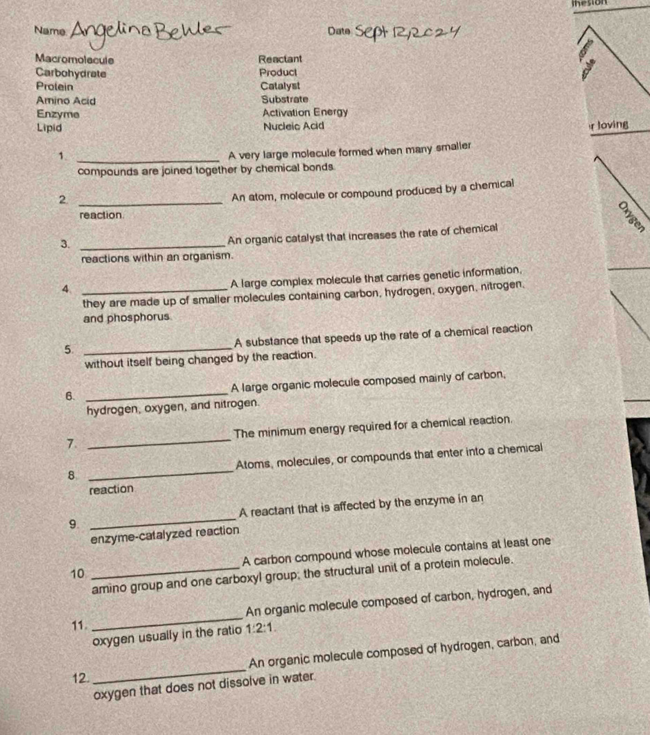 lhesion 
Name Date 
Macromolecule Reactant 
Carbohydrate Product 
Prolein Catalyst 
Amino Acid Substrate 
Enzyme Activation Energy 
Lipid Nucleic Acid rloving 
1._ 
A very large molecule formed when many smaller 
compounds are joined together by chemical bonds. 
_2 
An atom, molecule or compound produced by a chemical 
reaction 
3._ 
An organic catalyst that increases the rate of chemical 
reactions within an organism. 
4._ 
A large complex molecule that carries genetic information, 
they are made up of smaller molecules containing carbon, hydrogen, oxygen, nitrogen. 
and phosphorus 
A substance that speeds up the rate of a chemical reaction 
_5 
without itself being changed by the reaction. 
6. _A large organic molecule composed mainly of carbon, 
hydrogen, oxygen, and nitrogen. 
7. _The minimum energy required for a chemical reaction. 
8 _Atoms, molecules, or compounds that enter into a chemical 
reaction 
9. _A reactant that is affected by the enzyme in an 
enzyme-catalyzed reaction 
10 _A carbon compound whose molecule contains at least one 
amino group and one carboxyl group; the structural unit of a protein molecule. 
_ 
An organic molecule composed of carbon, hydrogen, and 
11. 1:2:1. 
oxygen usually in the ratio 
An organic molecule composed of hydrogen, carbon, and 
12. 
_ 
oxygen that does not dissolve in water.